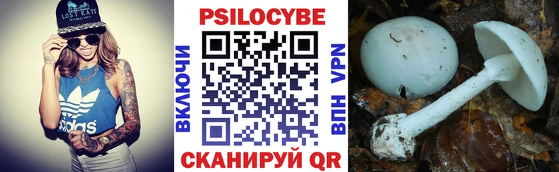 Галлюциногенные грибы Magic Shrooms  Великий Новгород 