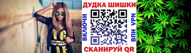 Канабис сатива  сколько стоит  MEGA вход  Великий Новгород 